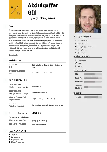 Bilgisayar Programcısı CV Örnekleri cv indir